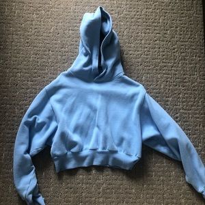 Aritzia Cropped Hoodie